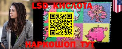 шишки Бузулук