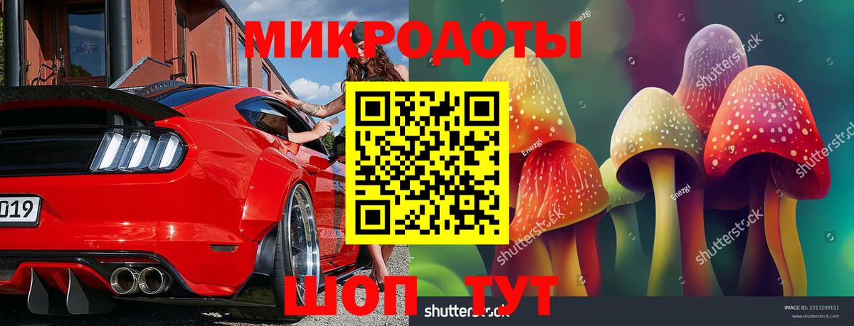 Галлюциногенные грибы Cubensis  Галлюциногенные грибы ЛСД  Вход с VPN  Трёхгорный 